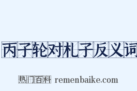丙子轮对札子反义词是什么意思的图片